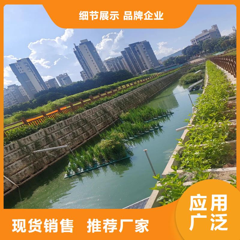 浮岛水生态造景十余年厂家