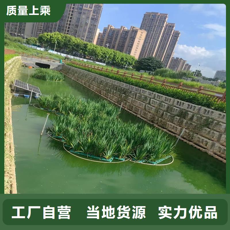 信誉好的水面生态浮岛