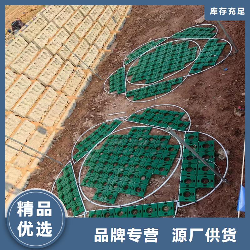 水生植物浮岛就选荷景园林绿化工程有限公司