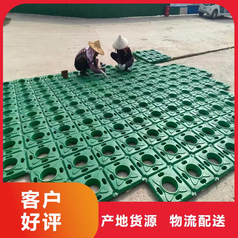 水生植物浮岛、水生植物浮岛厂家直销_大量现货