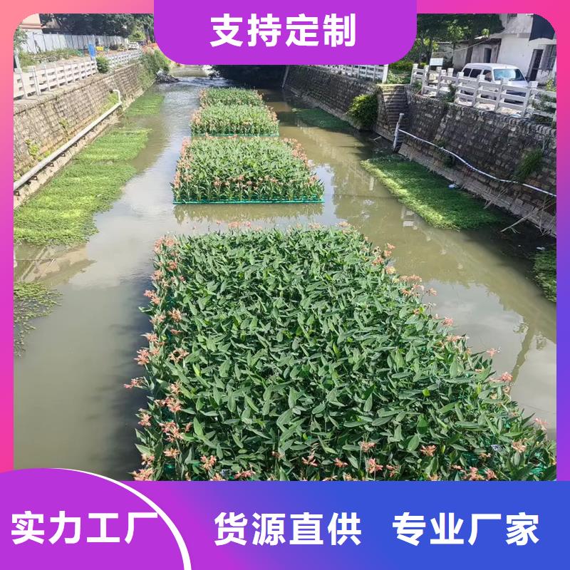 人工浮岛公司报价