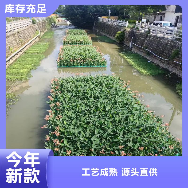 河道浮岛公司地址