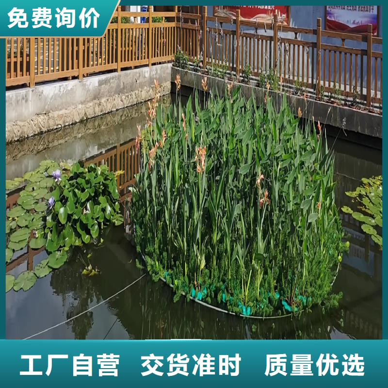 水生植物浮岛厂家-报价