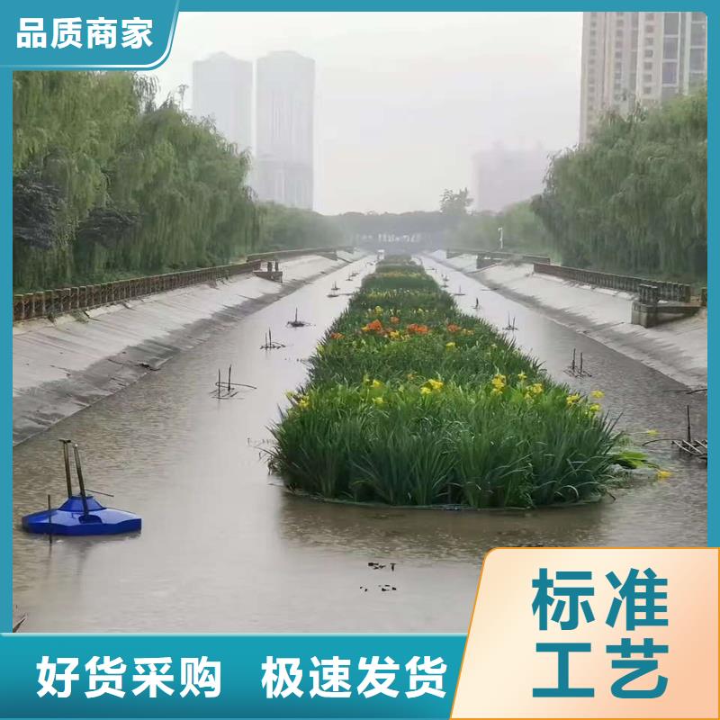 信誉好的水面生态浮岛