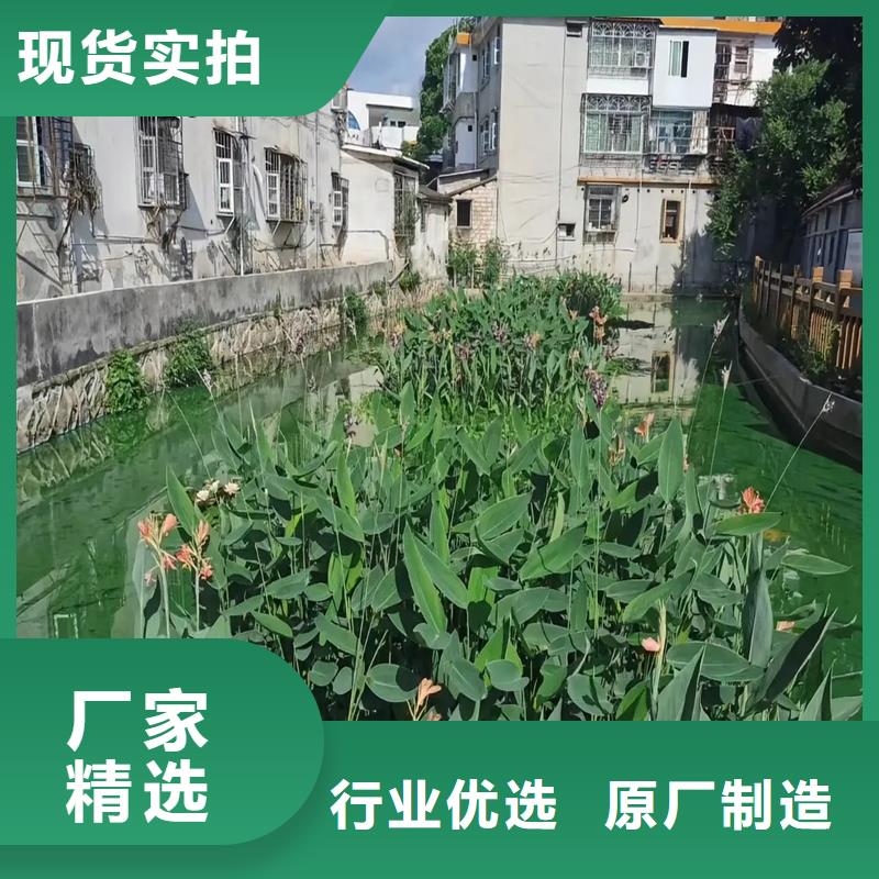 人工浮岛工程销售厂家