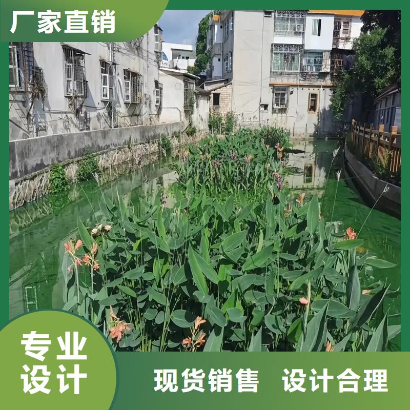 人工浮岛公司报价