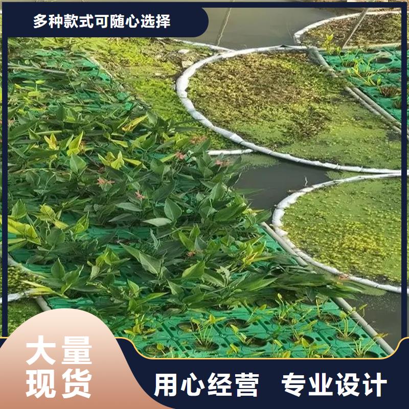 优选：水生植物浮岛本地厂家