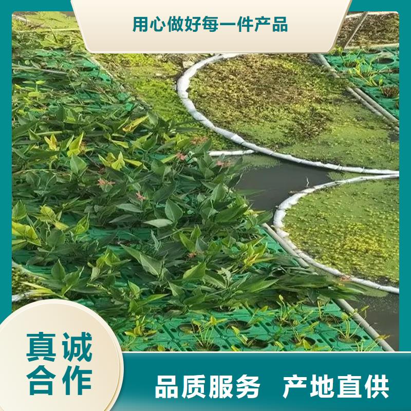 生态浮床人工浮岛、生态浮床人工浮岛厂家-诚信经营