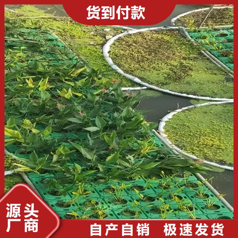 人工浮岛工程销售厂家