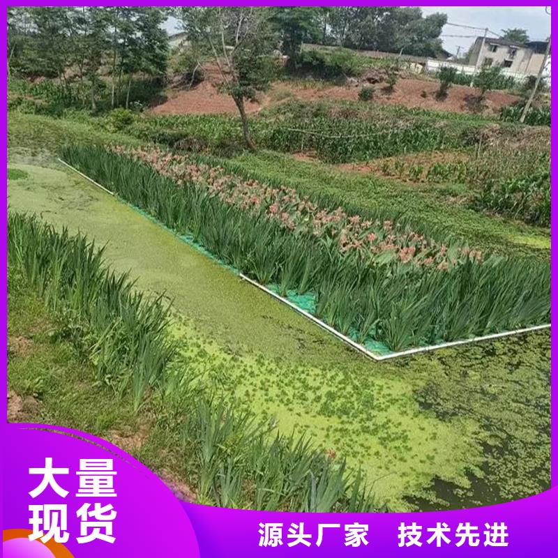 人工浮岛公司报价