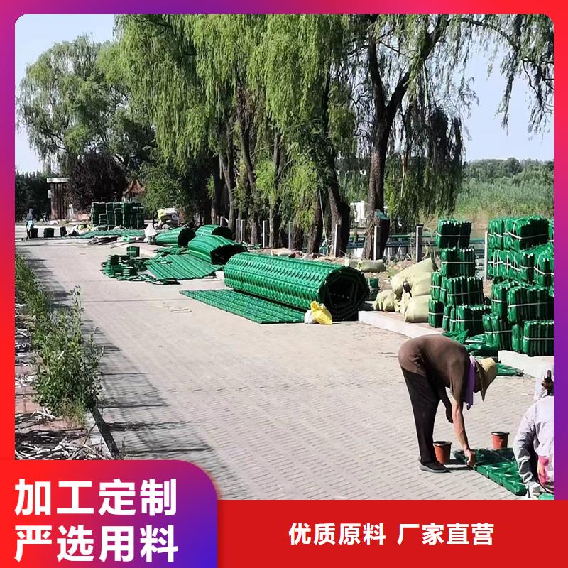 水生植物浮岛厂家-报价