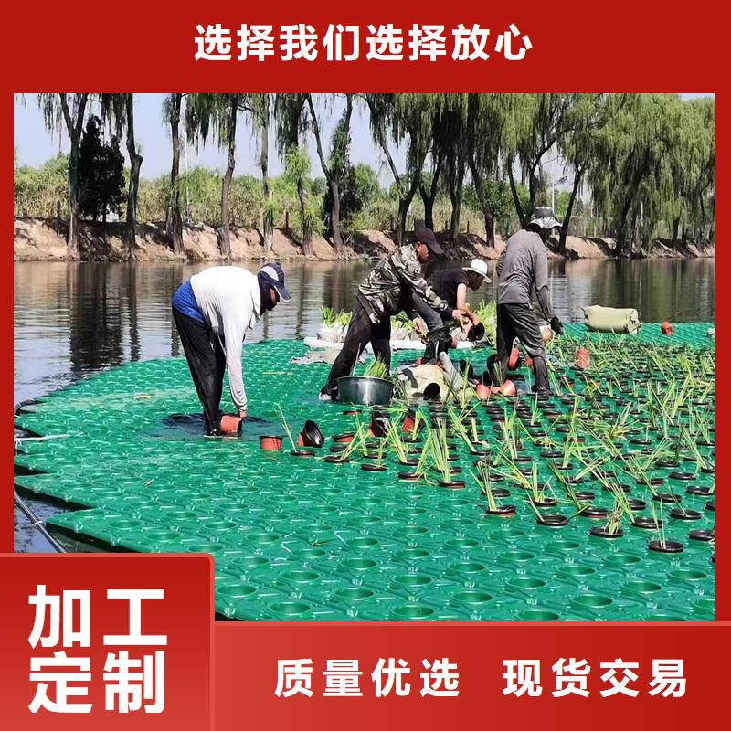 优选：水生植物浮岛本地厂家