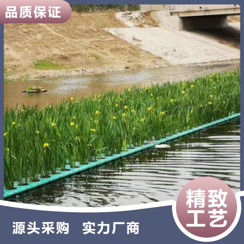 河道浮岛行业经验丰富