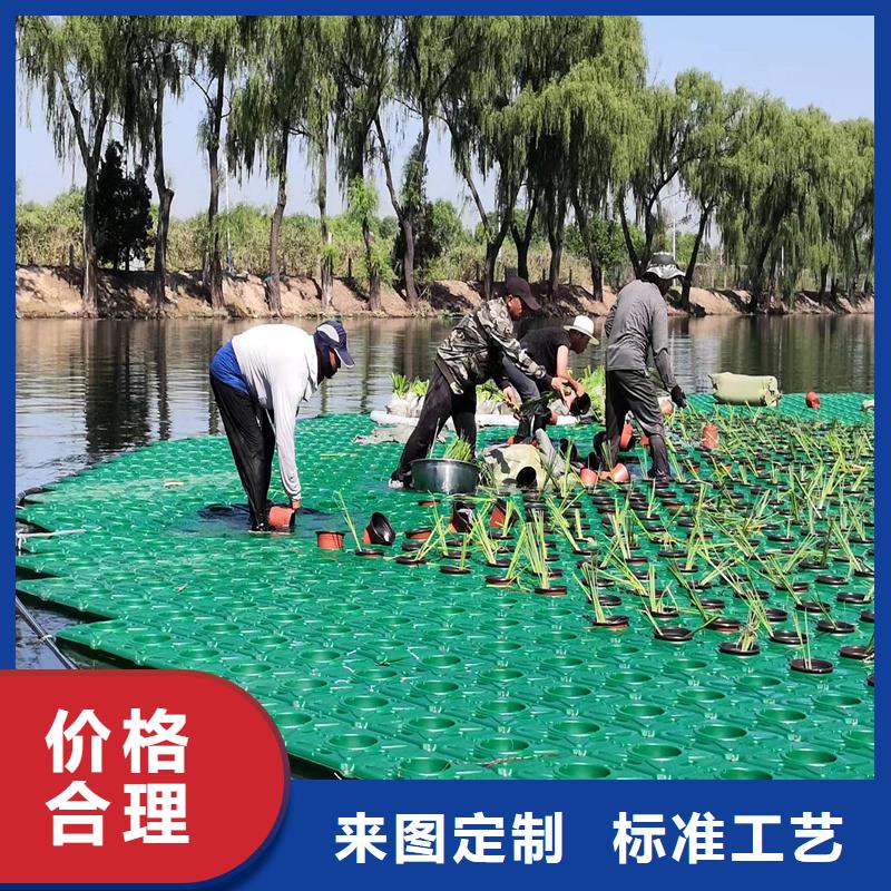 专业销售水面生态浮岛-省钱