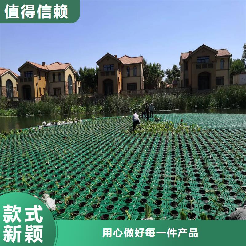 浮岛水生态造景十余年厂家