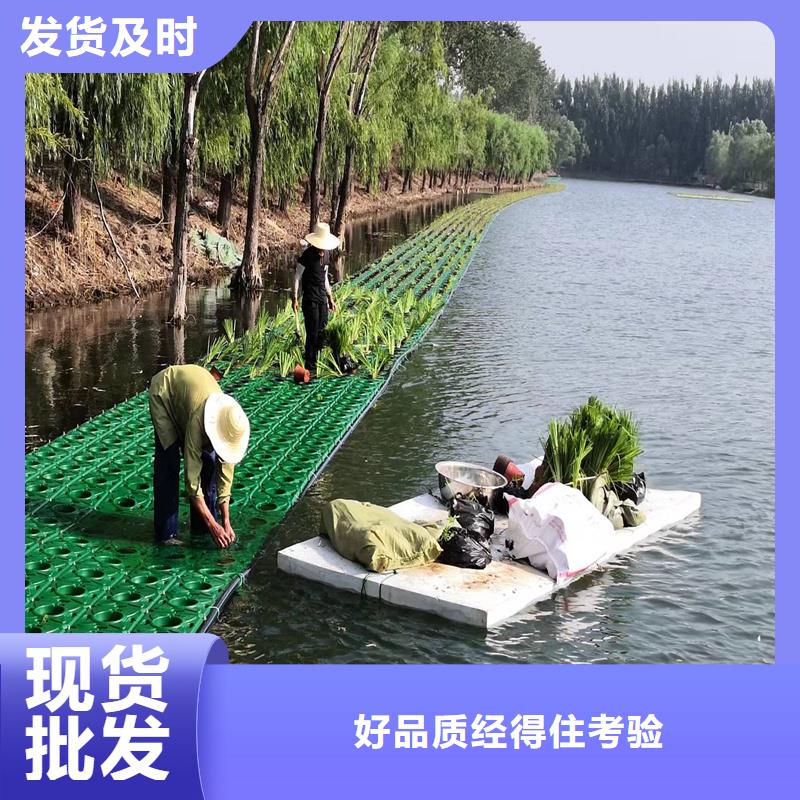 自然浮岛企业-大厂直销