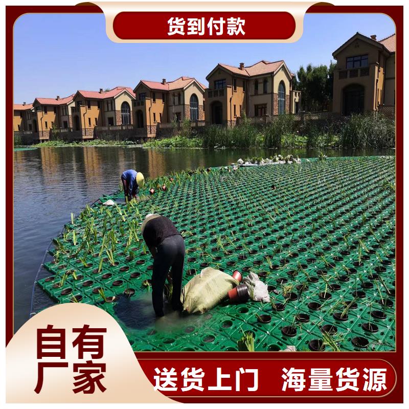 买水域浮岛必看-售后保证