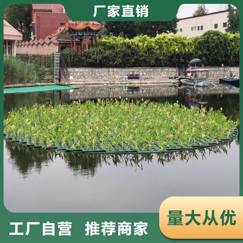 水面生态浮岛质量靠谱
