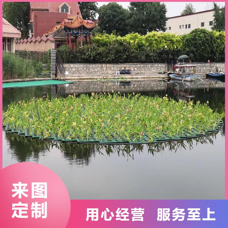 水生植物浮岛厂家-报价