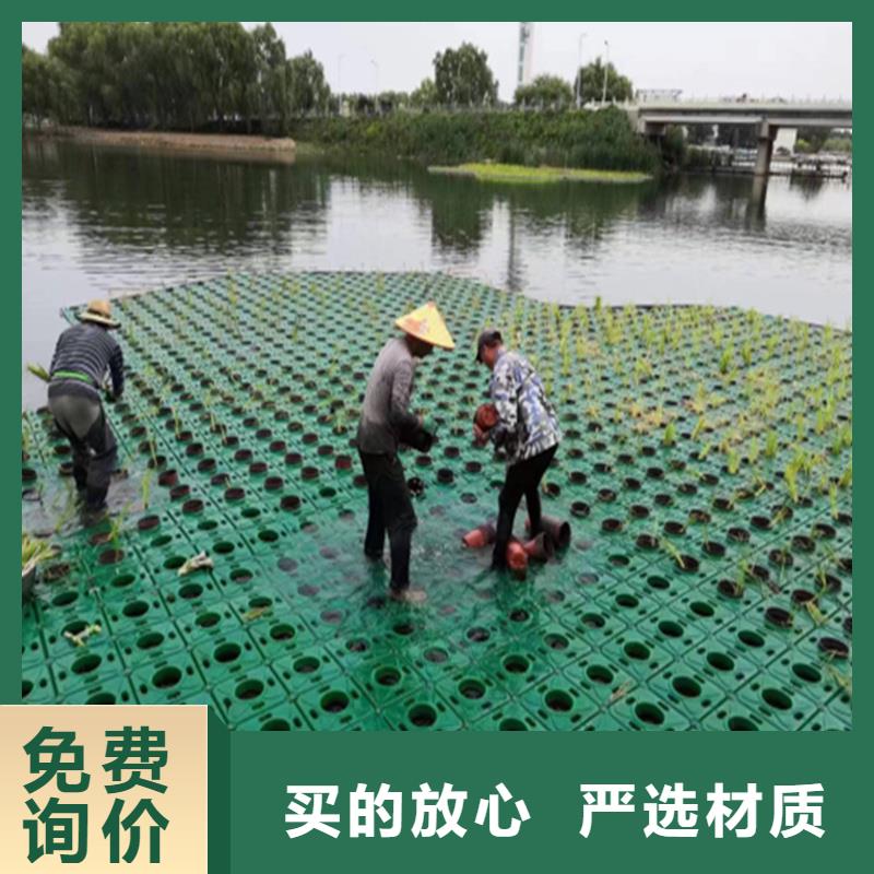生态浮床人工浮岛、生态浮床人工浮岛厂家-诚信经营