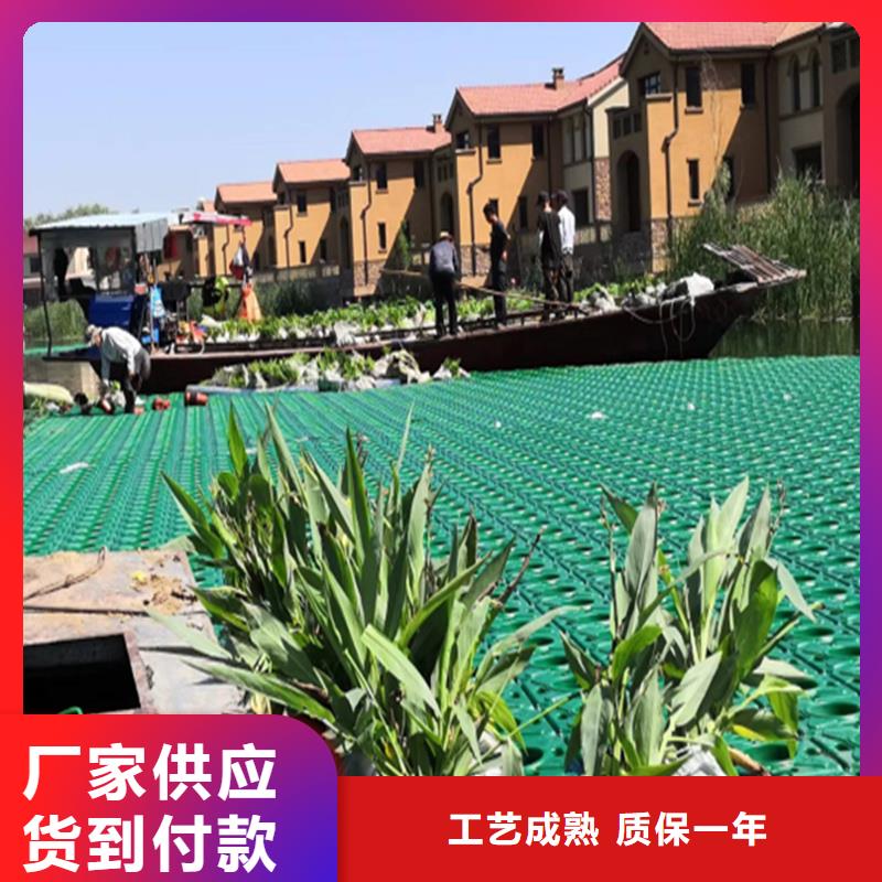 水生植物浮岛、水生植物浮岛厂家直销_大量现货