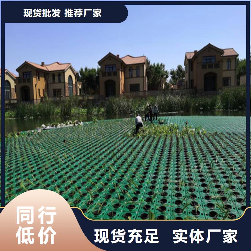 水生植物浮岛、水生植物浮岛厂家直销_大量现货