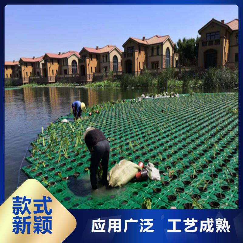 2025欢迎访问##水面生态浮岛##生产厂家