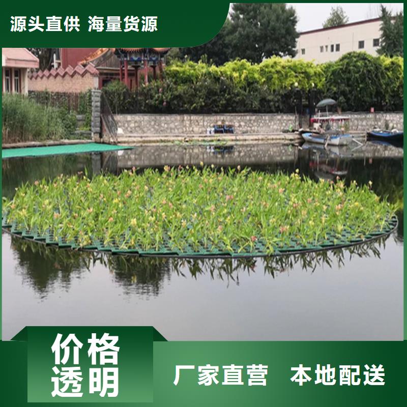 水生植物浮岛、水生植物浮岛厂家直销_大量现货