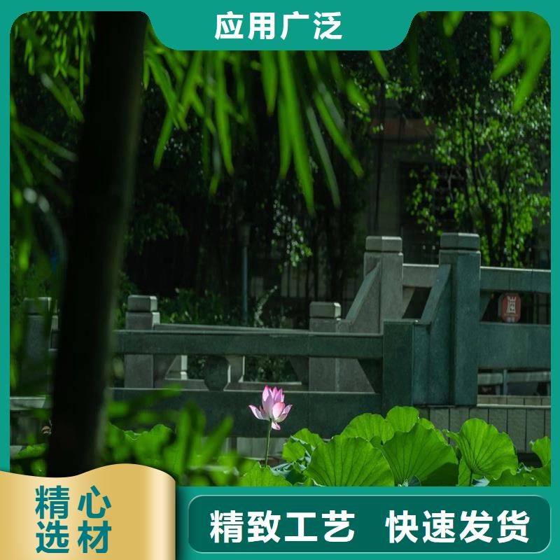 荷花苗基地发货快品质高