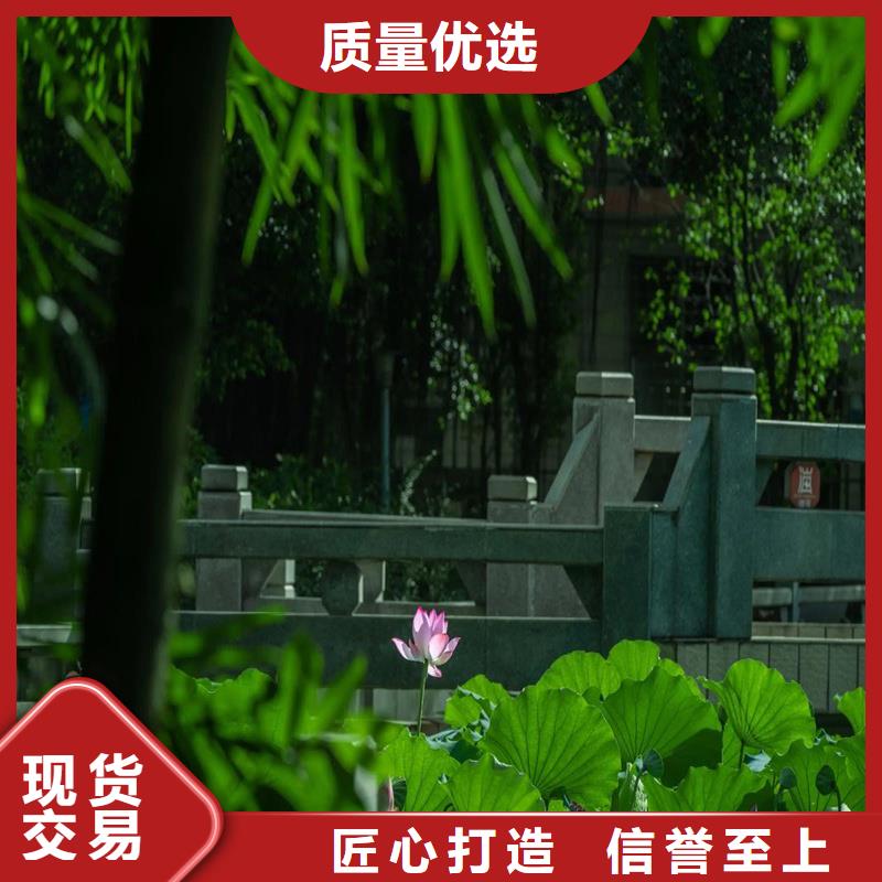 观赏荷花苗包安装