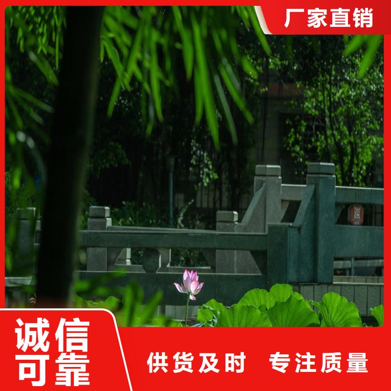 服务周到的盆栽荷花苗生产厂家