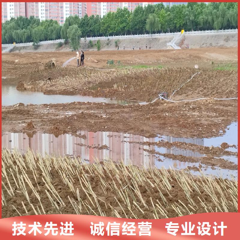 芦苇苗芦苇根苗厂家直销货源充足