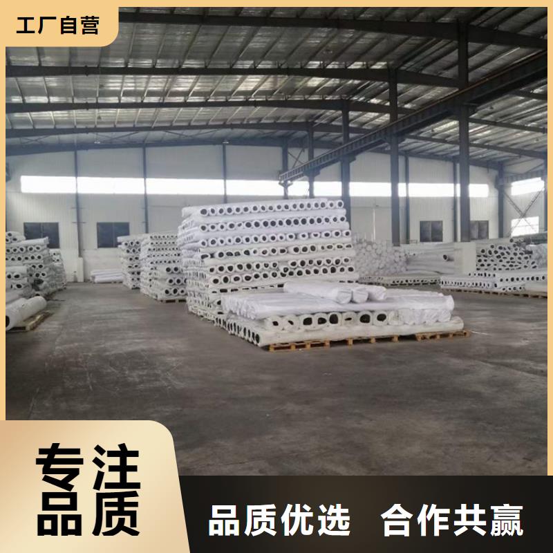 钢塑格栅型号齐全