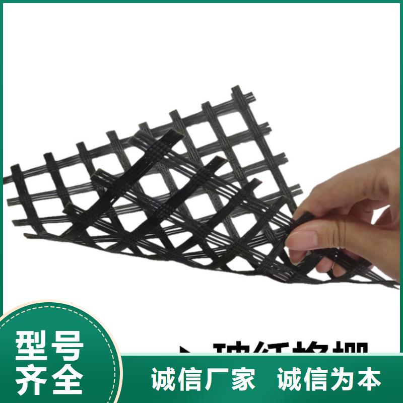 双向塑料土工格栅型号齐全
