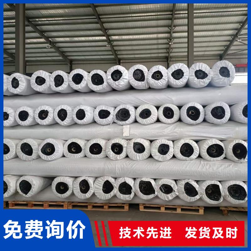 聚酯经编涤纶土工格栅型号齐全