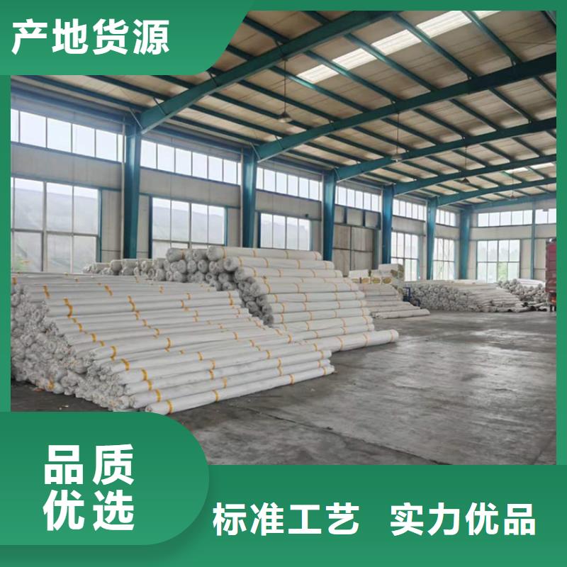 屯昌县塑料土工格栅全国发货