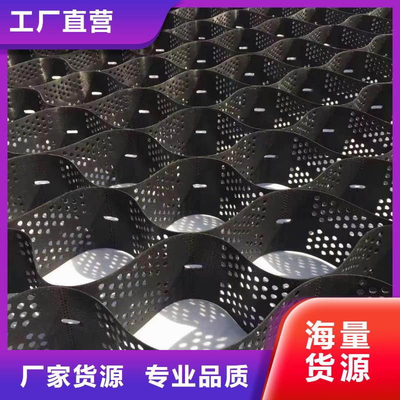 土工格室铆接土工格室服务周到