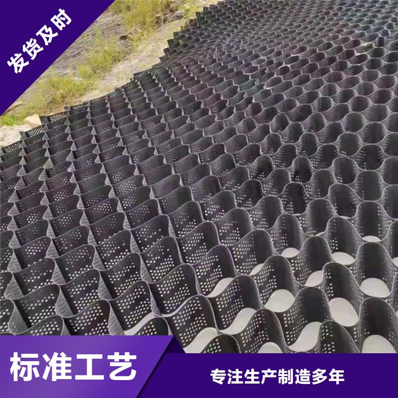 土工格室蜂巢土工格室购买的是放心
