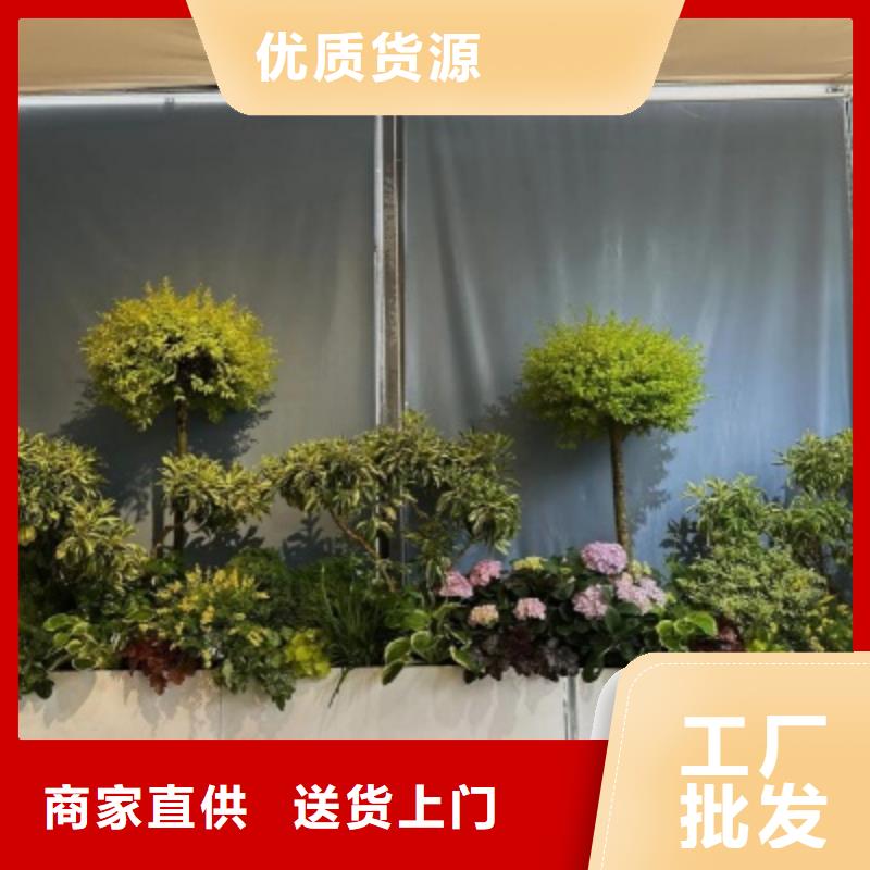 不锈钢花箱承诺守信