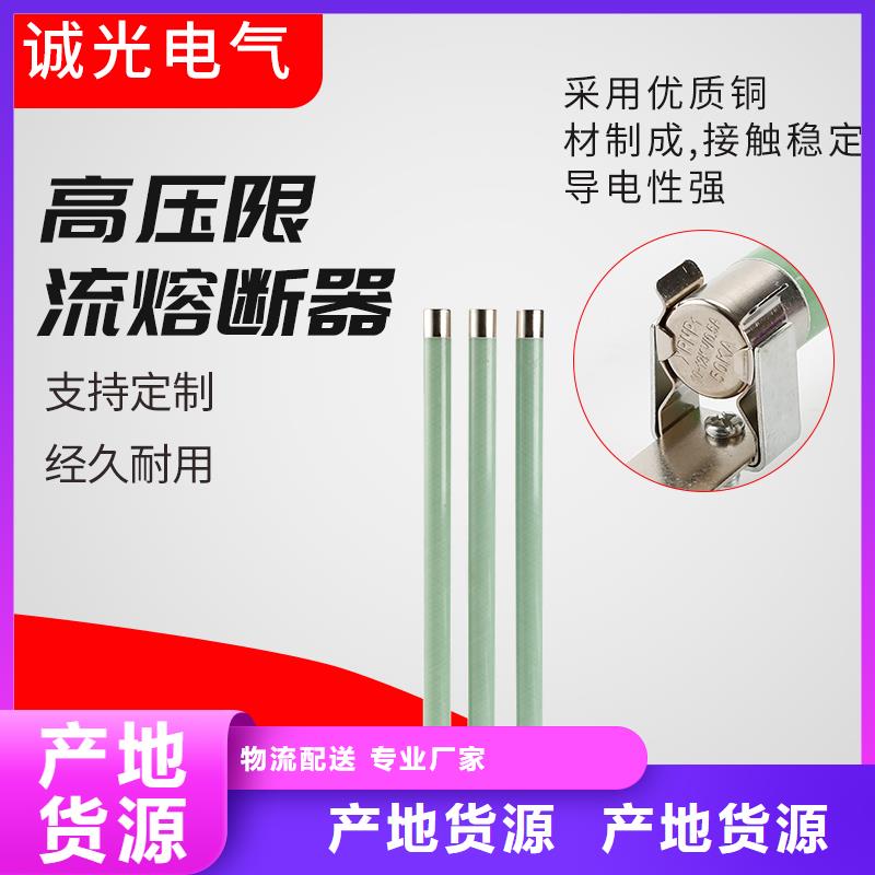 限流熔断器,绝缘子厂家货源