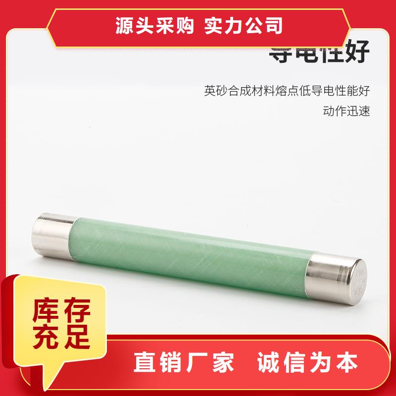 XRNM-10/150A熔断器