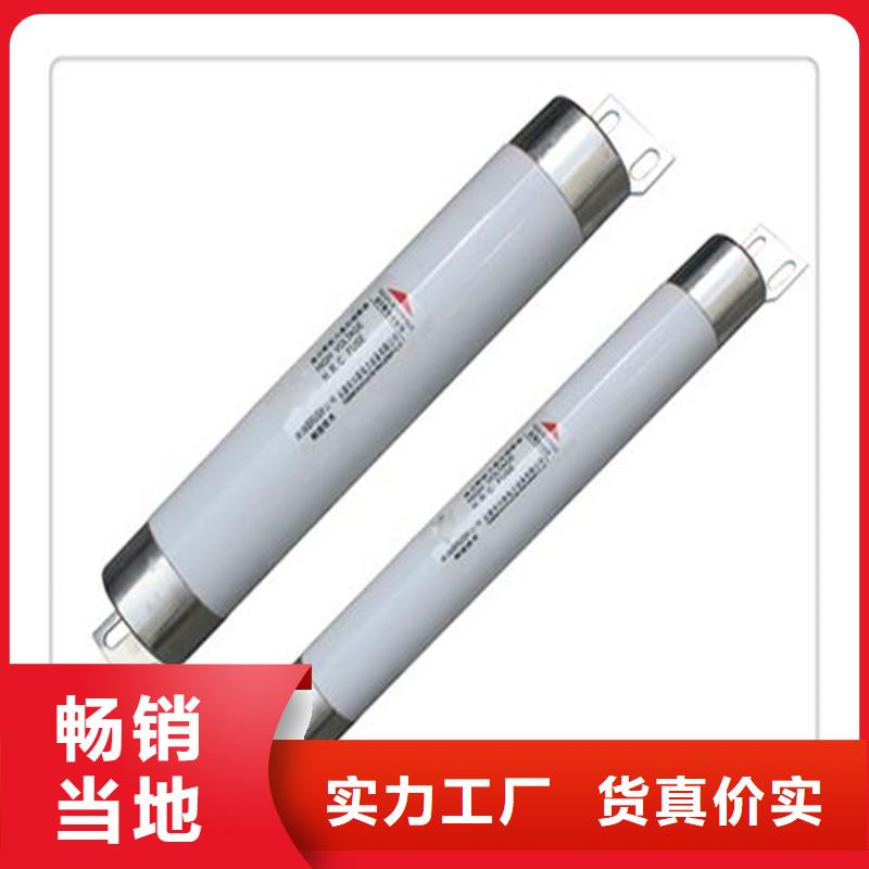 限流熔断器真空断路器规格齐全实力厂家