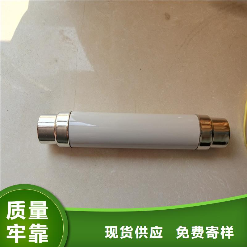 XRNP1-10KV/1A高压熔管