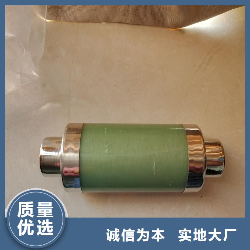 限流熔断器【绝缘子】实体厂家支持定制-樊高电气销售部(广西省分公司)