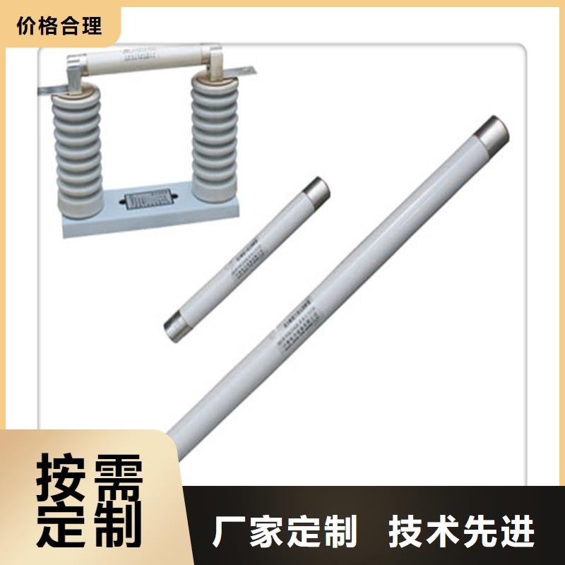 RNK-6/1A双管限流熔断器