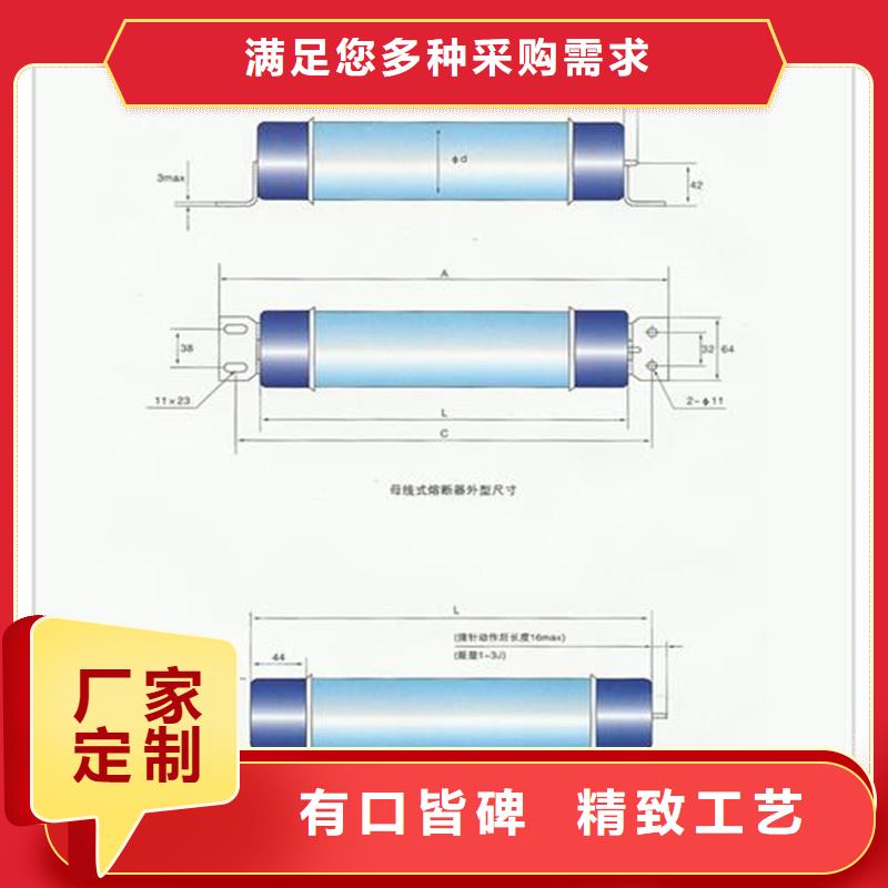 XRNM-12/200A熔管