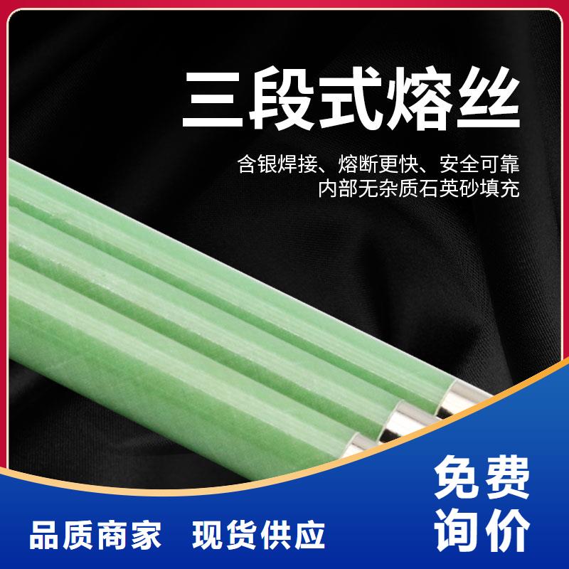 XRNM-10/150A熔断器