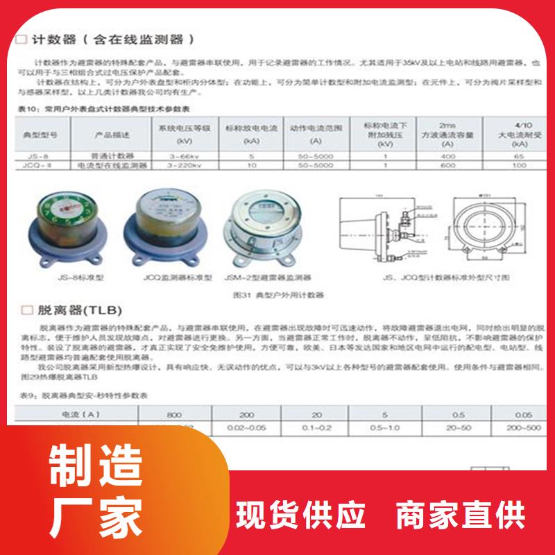 【 计数器_氧化锌避雷器源头厂家来图定制】由樊高为您
