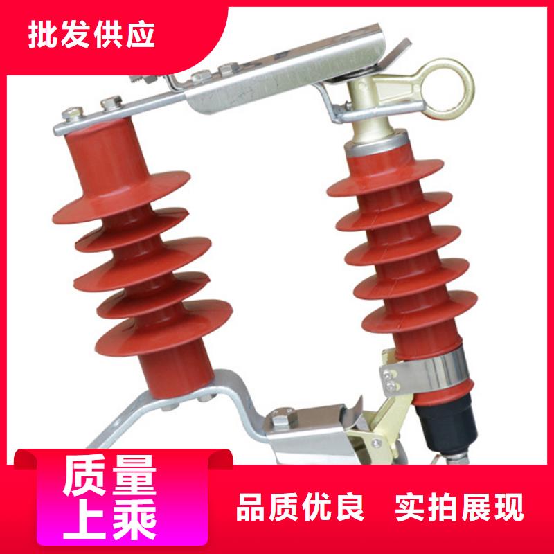 避雷器绝缘子买的放心安兴用的舒心当地生产厂家