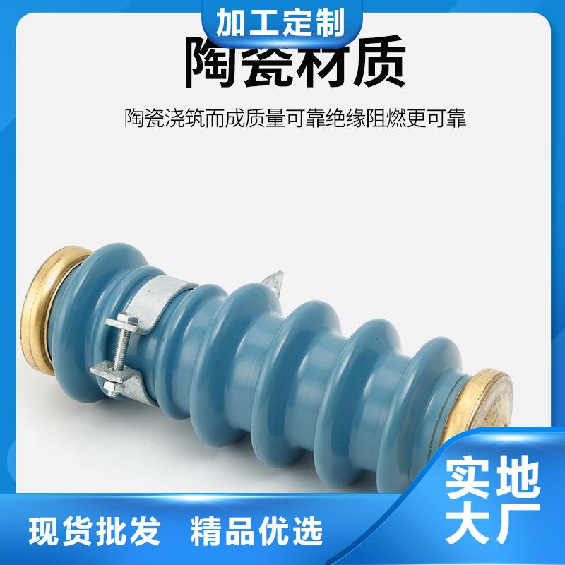 跌落式熔断器公司视频-跌落式熔断器公司-樊高电气销售部(德阳市分公司)服务区域旌阳|什邡|资阳|乐山|遂宁|巴中|广元